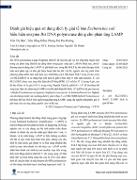 Hình ảnh thu nhỏ