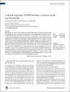 Hình ảnh thu nhỏ