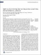 Hình ảnh thu nhỏ